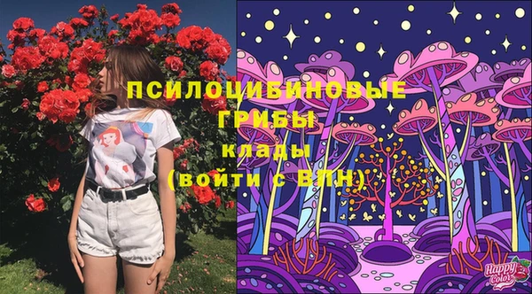 гашиш Бородино