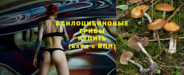 дурь Верея