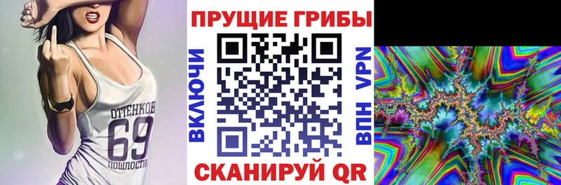 Псилоцибиновые грибы MAGIC MUSHROOMS  blacksprut tor  Гуково 