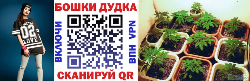 MEGA маркетплейс  цены   Гуково  Марихуана ГИДРОПОН 